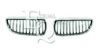 BMW 51137254969 Radiator Grille